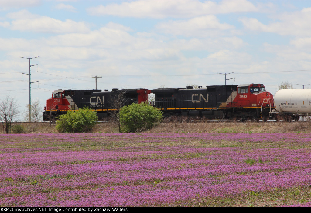 IC 2718 CN 2553